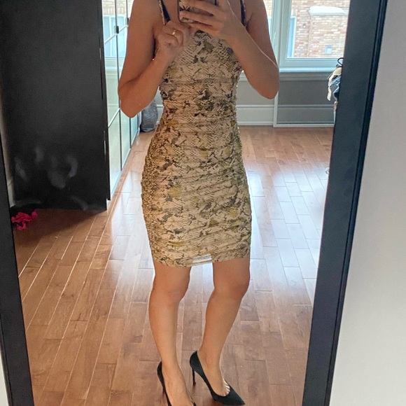 GUESS snakeprint dress BNWT - Picture 2 of 16